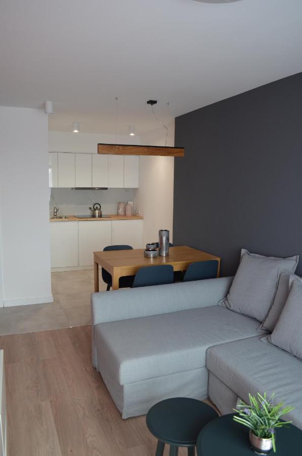 V3 Sokolska 33 Apartment Katowice Luaran gambar